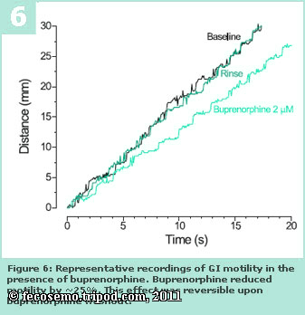 buprenorphine human