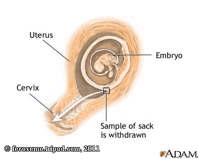 natural sources of human chorionic gonadotrophin