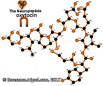 oxytocin structural analogues