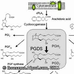 can i lower my prostaglandin